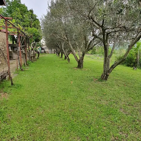 Apartma Vista Baredi Izola Exterior photo