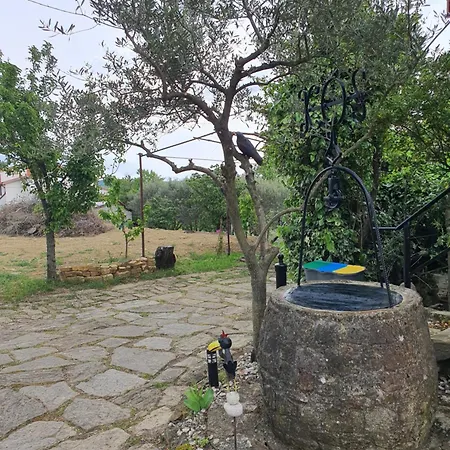 Apartma Vista Baredi Izola Exterior photo