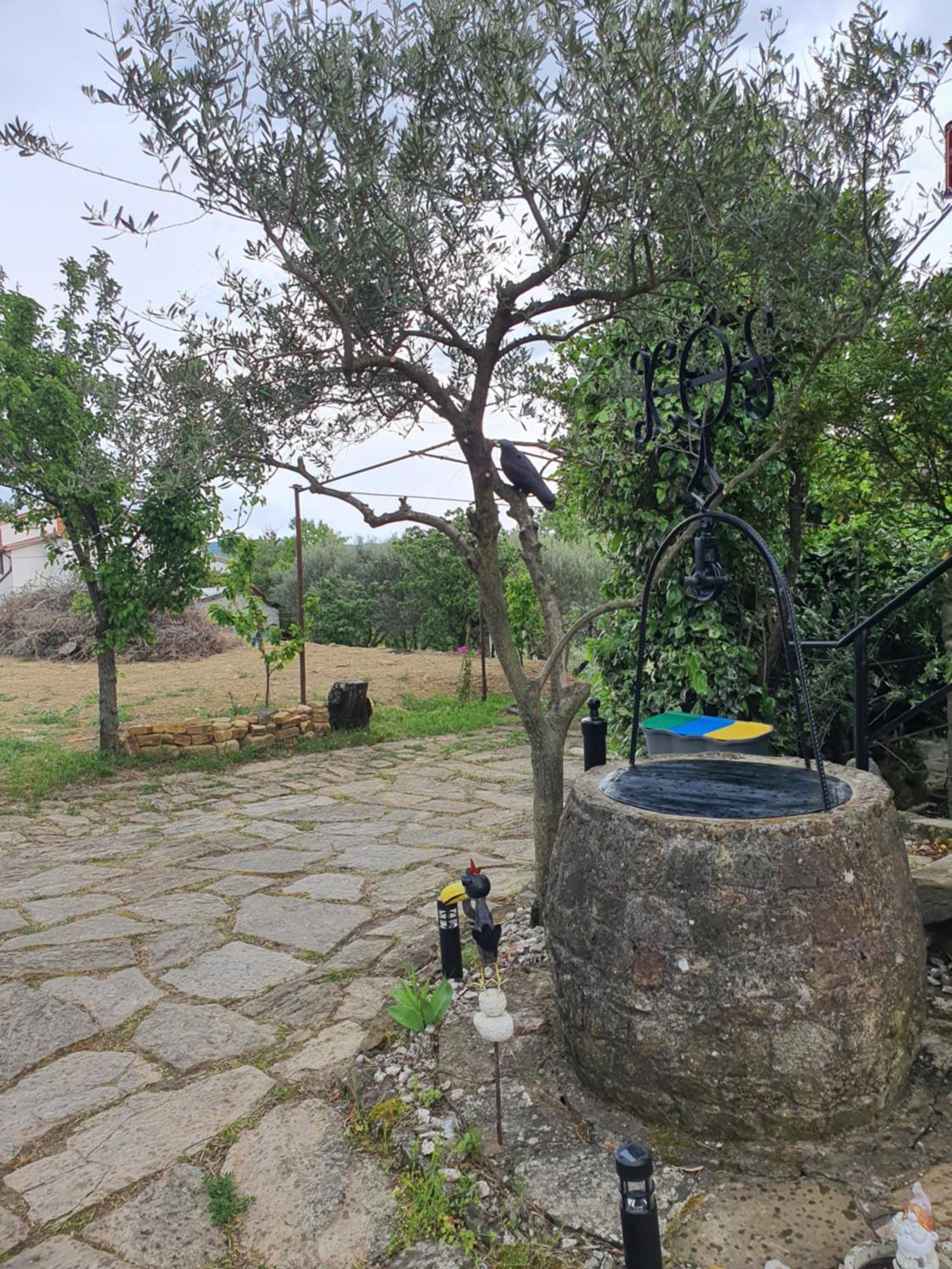 Apartma Vista Baredi Appartamento