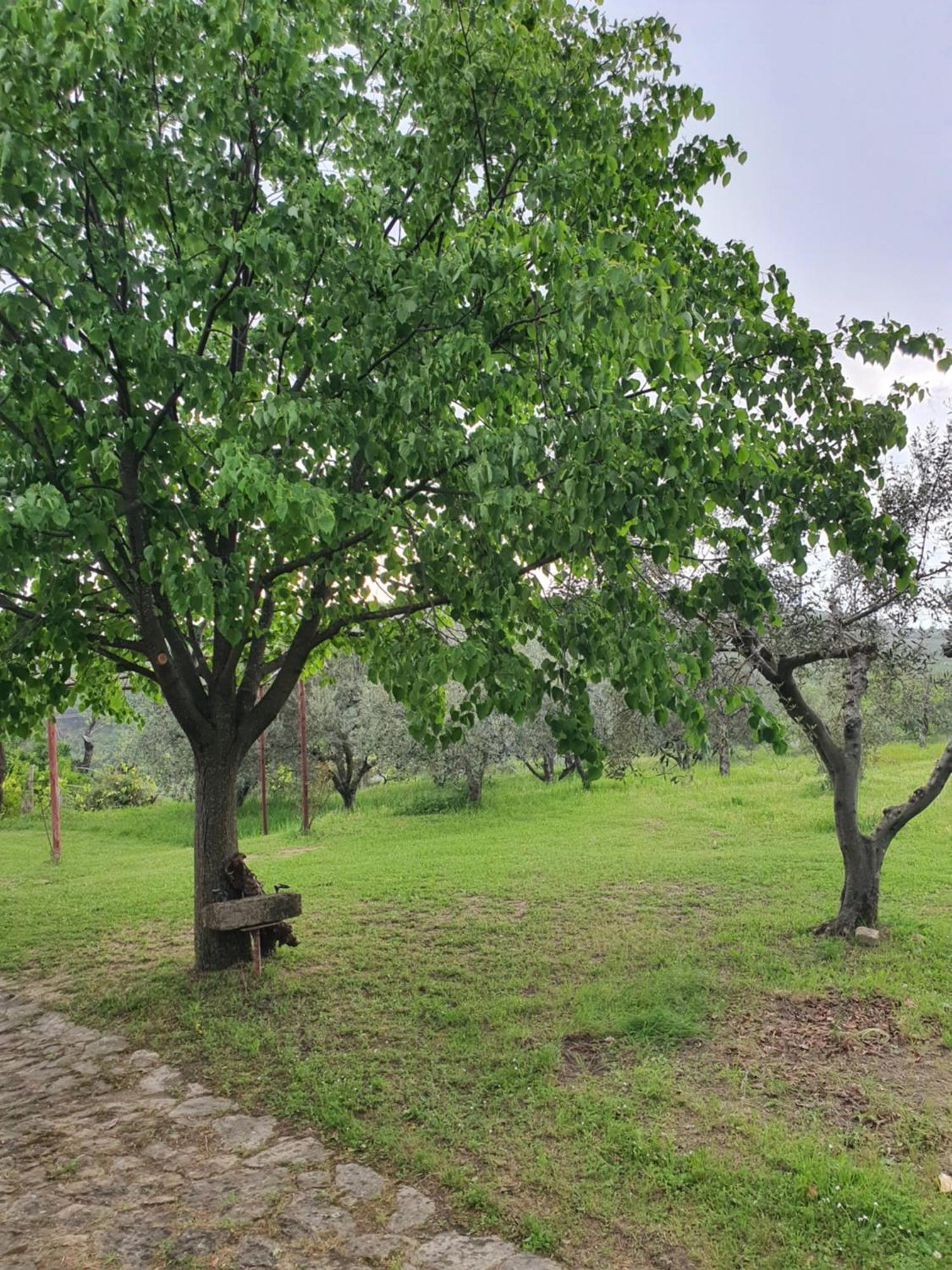Apartma Vista Baredi * Izola